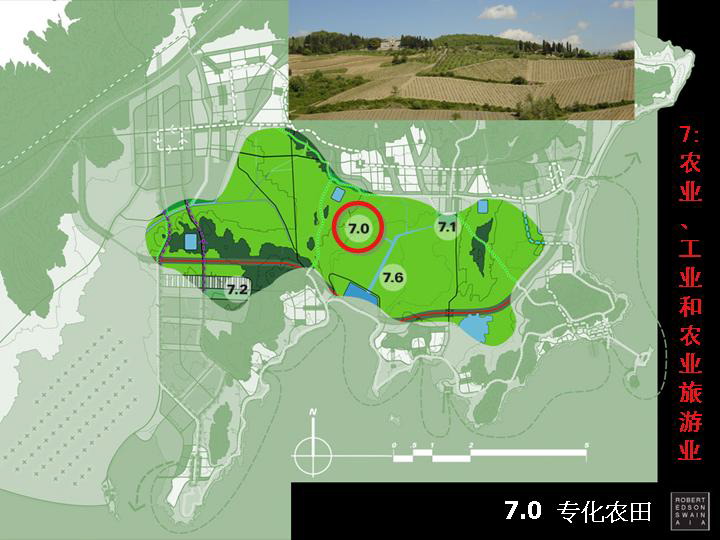 slide37.jpg
