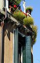 54roofgarden